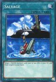 card715421-series599994-rarity540534