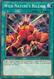 card715444-series377491-rarity540534