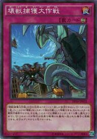 card5617-series12964-rarity1