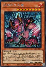 card_856_