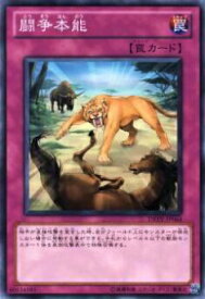 card9297-series21063-rarity1