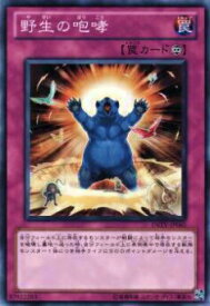 card9317-series21063-rarity1