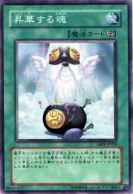 card9504-series21630-rarity1