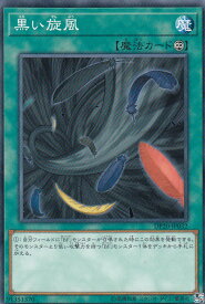 card9921-series10338-rarity1