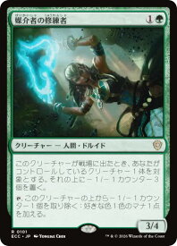 card298662-series2589292-rarity323476