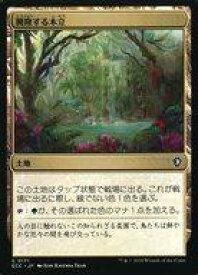 card326863-series2589292-rarity323480
