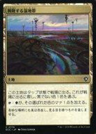 card326866-series2589292-rarity323480