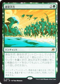 card287173-series165193-rarity323476