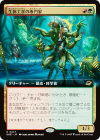 card287177-series165193-rarity323476
