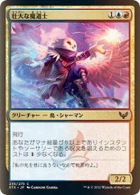 card294891-series172886-rarity323480