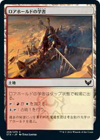 card294924-series172886-rarity323480