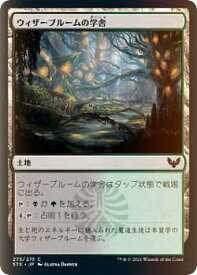 card294931-series172886-rarity323480
