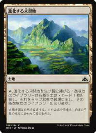 card287590-series176029-rarity323480