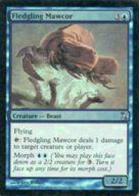 card305979-series184191-rarity323478