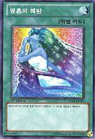 card13110-series35187-rarity1