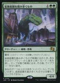 card292685-series204363-rarity323476