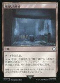 card316581-series207488-rarity323478