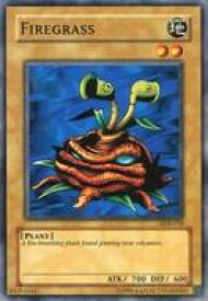 card13533-series37244-rarity1