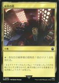 card296697-series208771-rarity323480