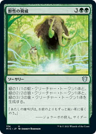 card303783-series212234-rarity323478
