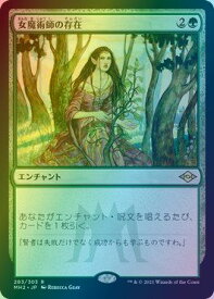 card308810-series181242-rarity323476