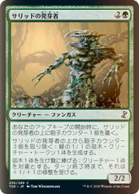 card306141-series181346-rarity323480
