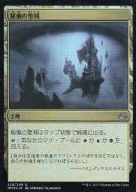 card304610-series218566-rarity323478