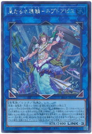 card604-series38573-rarity5