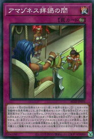 card1813-series3867-rarity2