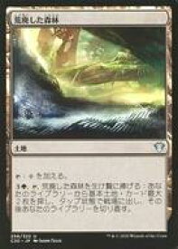 card300176-series224803-rarity323478
