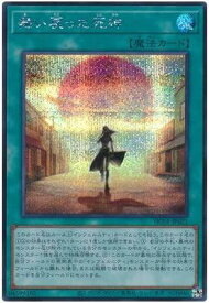 card2027-series4322-rarity5