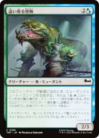 card4395589-series4375062-rarity323480