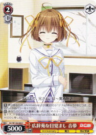 card4823965-series4860036-rarity557243