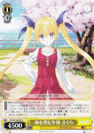 card4824053-series4860036-rarity557243