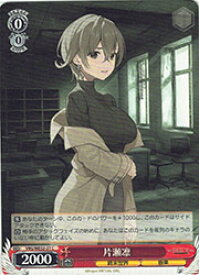 card4855857-series4860309-rarity557243