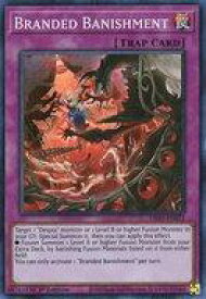 card510053-series377568-rarity540535