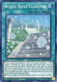 card501913-series377678-rarity540535