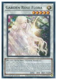 card501923-series373168-rarity540551