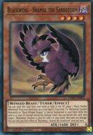 card501935-series377276-rarity540535