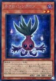 card2507-series5573-rarity5
