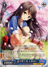 card_514579_series_385298_rarity_557285_