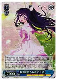 card517377-series388257-rarity557104