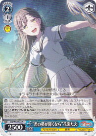 card517976-series388896-rarity559585