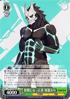 card518275-series389086-rarity557275