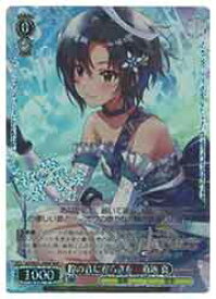 card518741-series389596-rarity562028