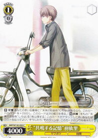 card519024-series389751-rarity557243