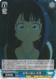 card519062-series390039-rarity557104