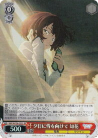 card519130-series390039-rarity557104