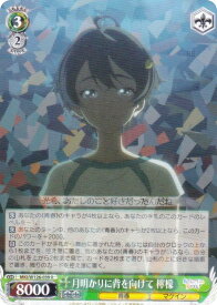 card519194-series390039-rarity557285