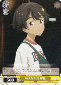 card519262-series390039-rarity557243